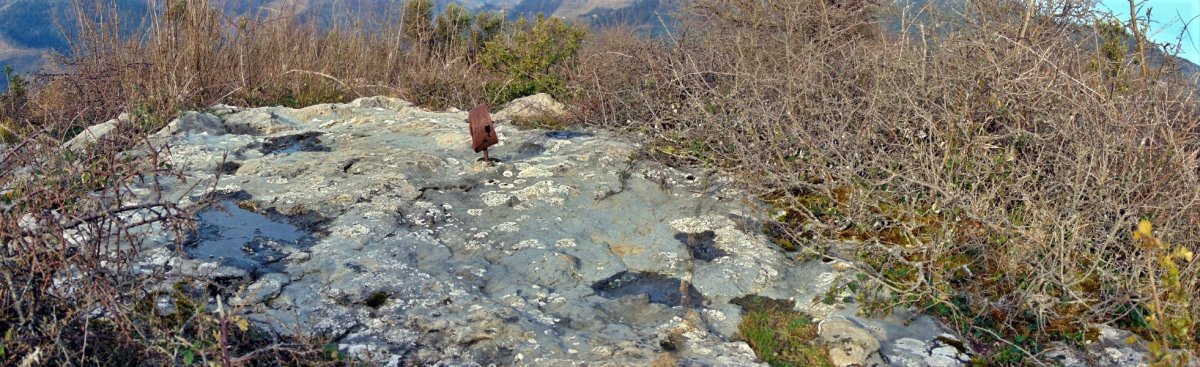 Tontorra