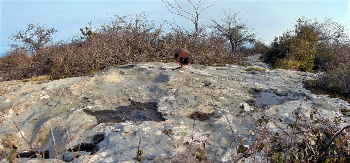 Tontorra