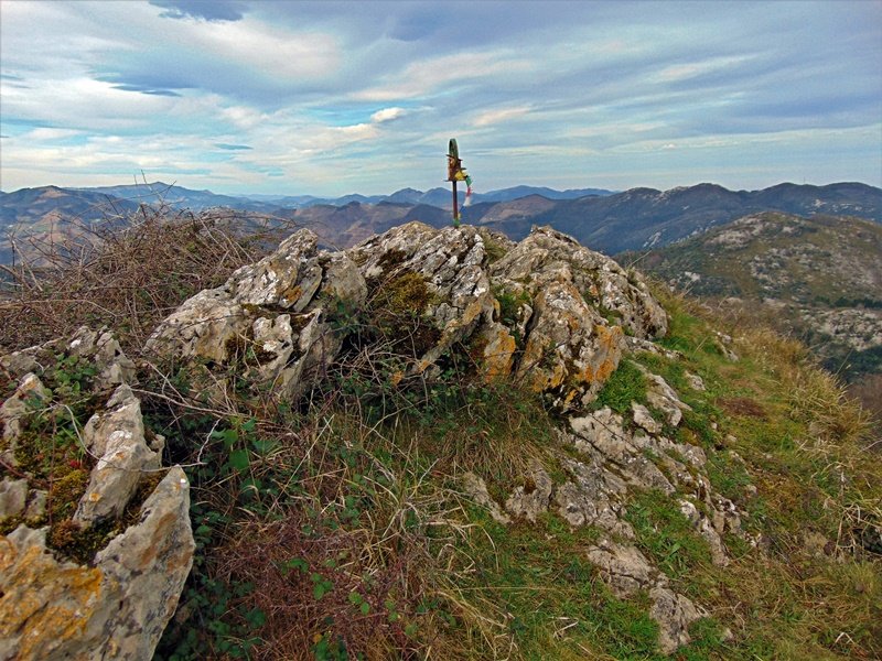 Tontorra