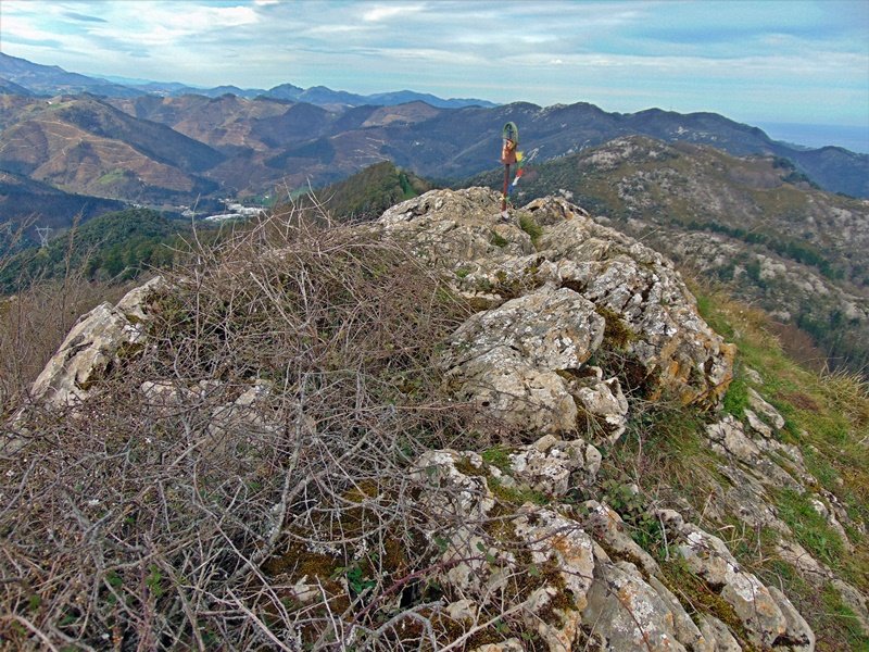 Tontorra