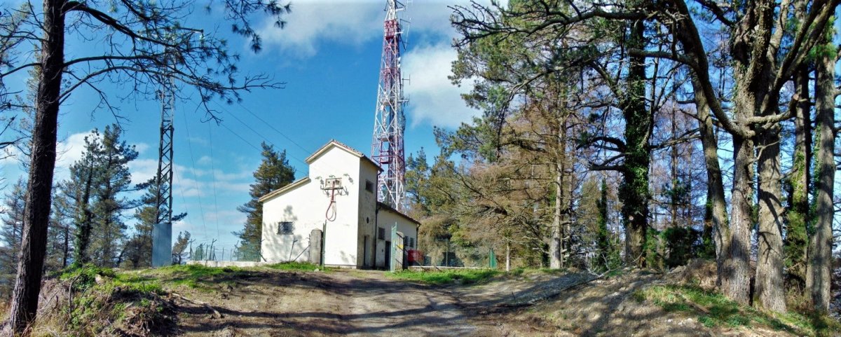 Tontorra