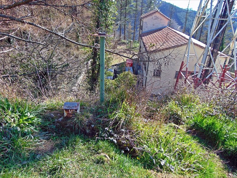 Tontorra