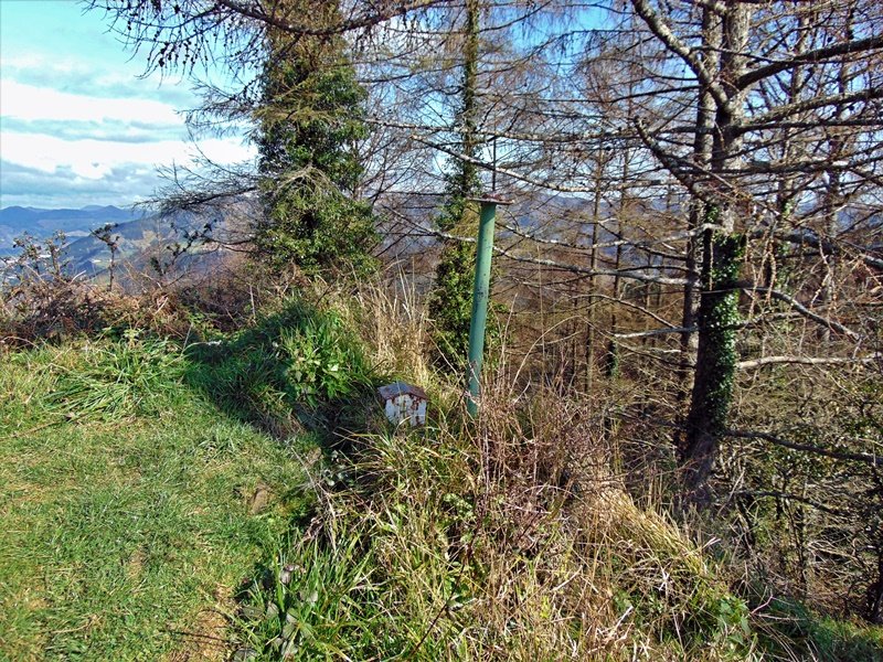 Tontorra