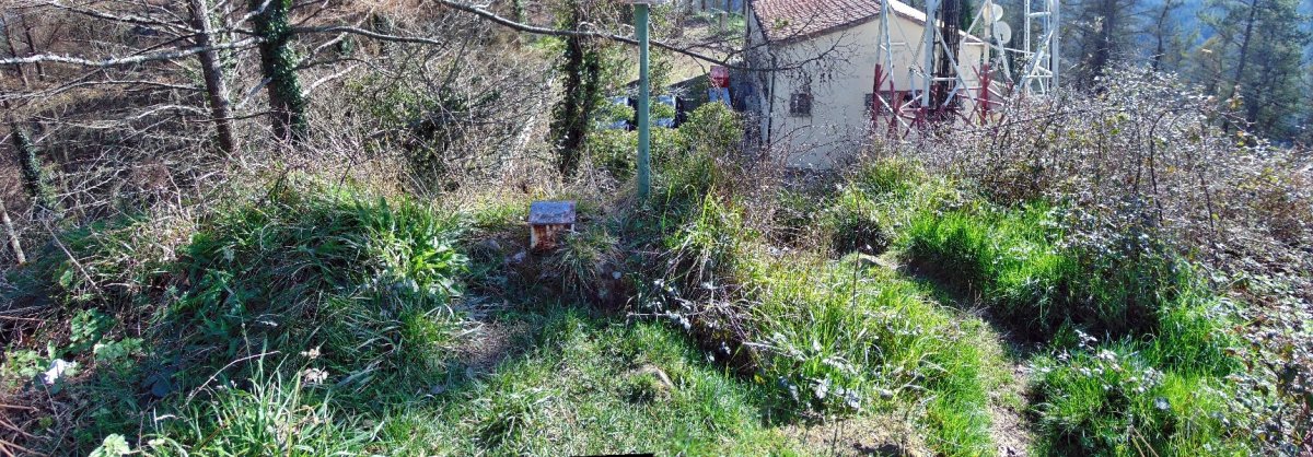 Tontorra