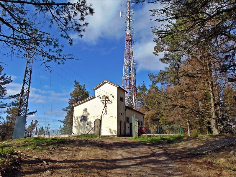 Tontorra