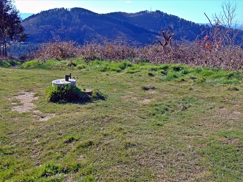 Tontorra