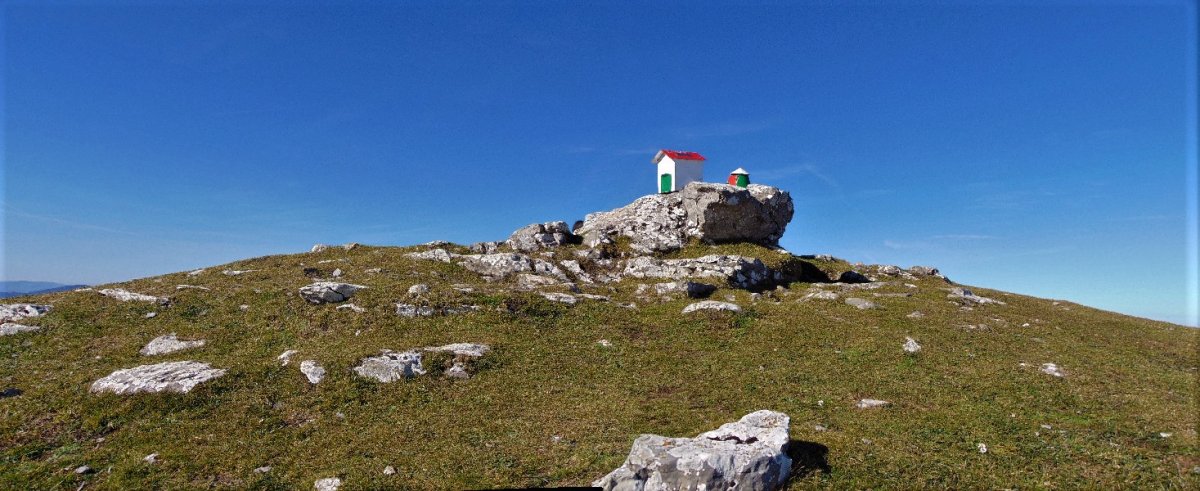 Tontorra