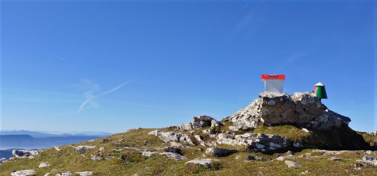 Tontorra