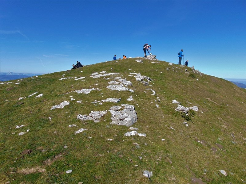Tontorra