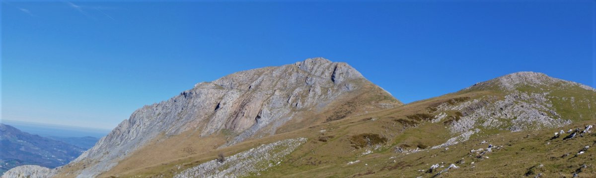 Larrunarri