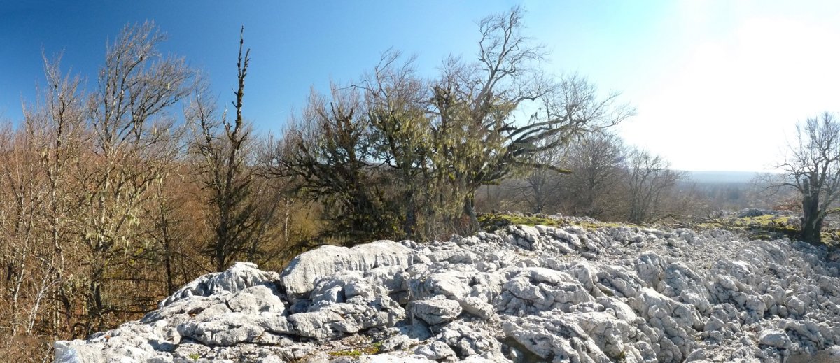 Tximistako gailurra