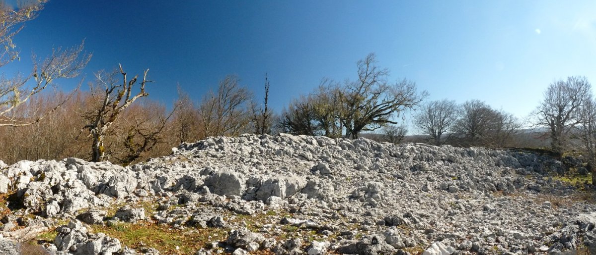 Tximistako gailurra