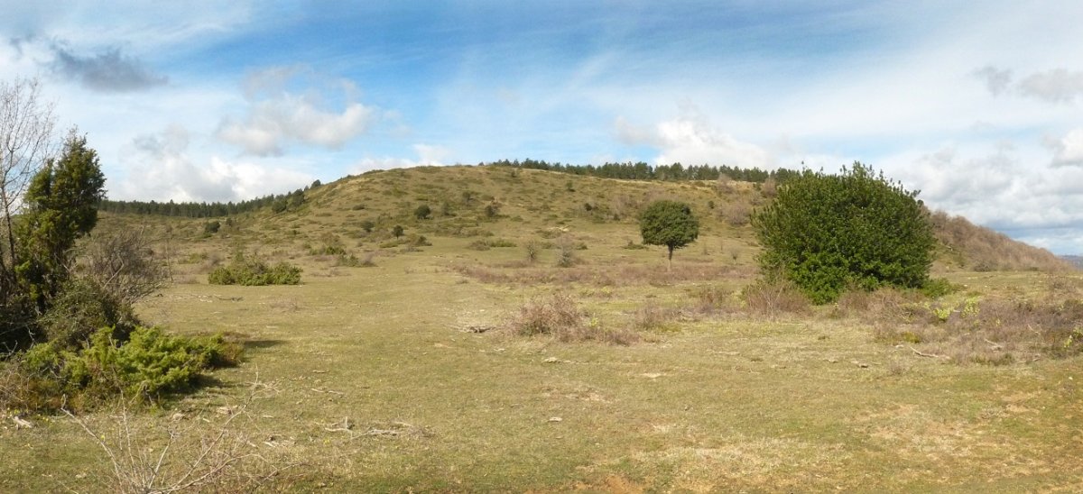 Mendibela
