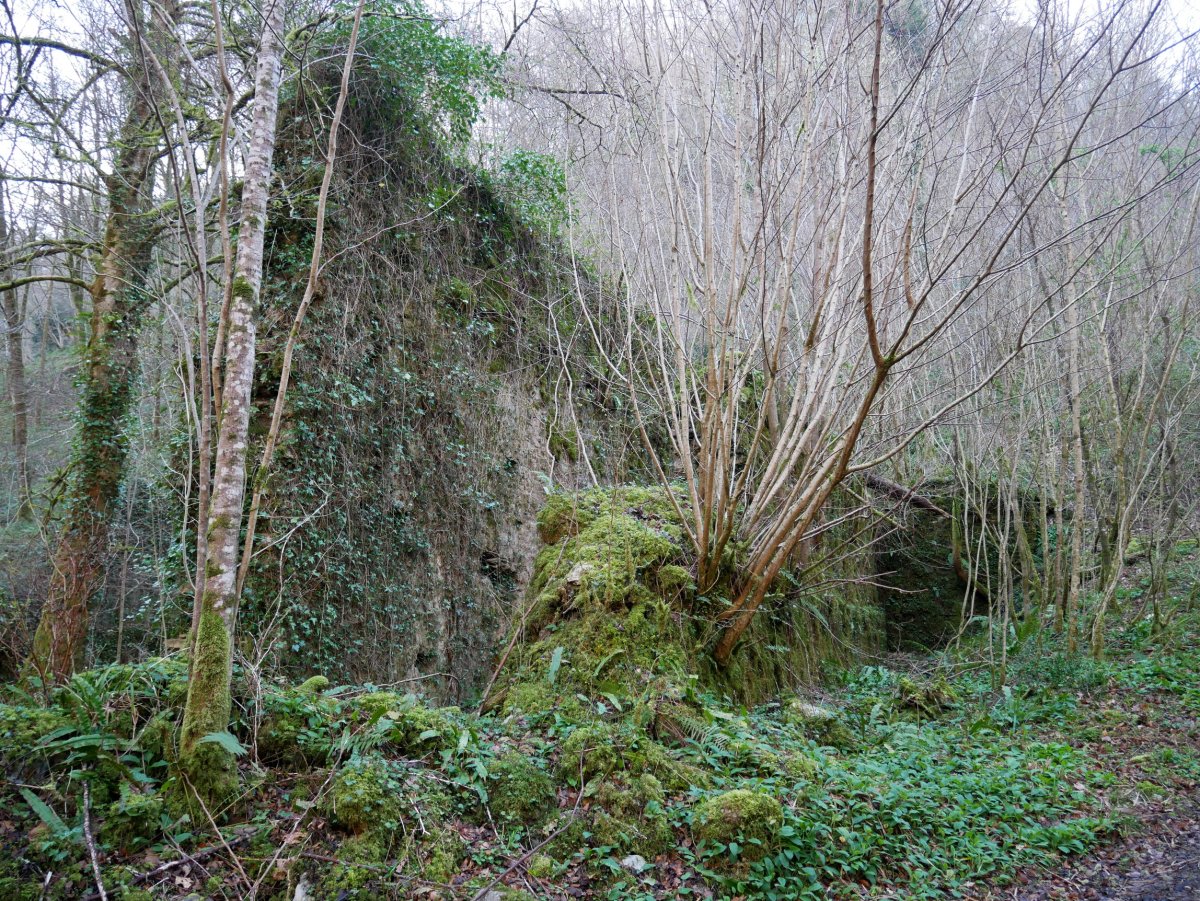 Olazar, Larraul