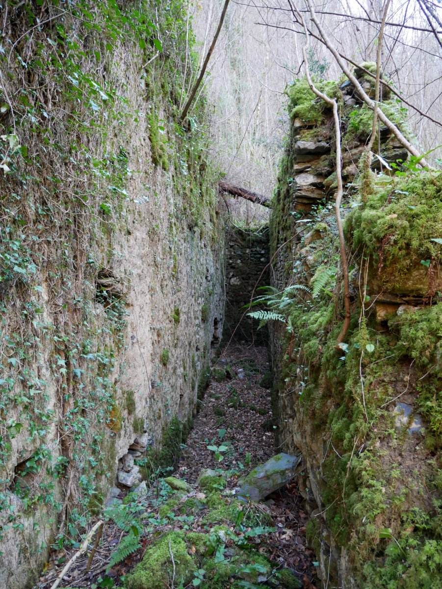 Olazar, Larraul