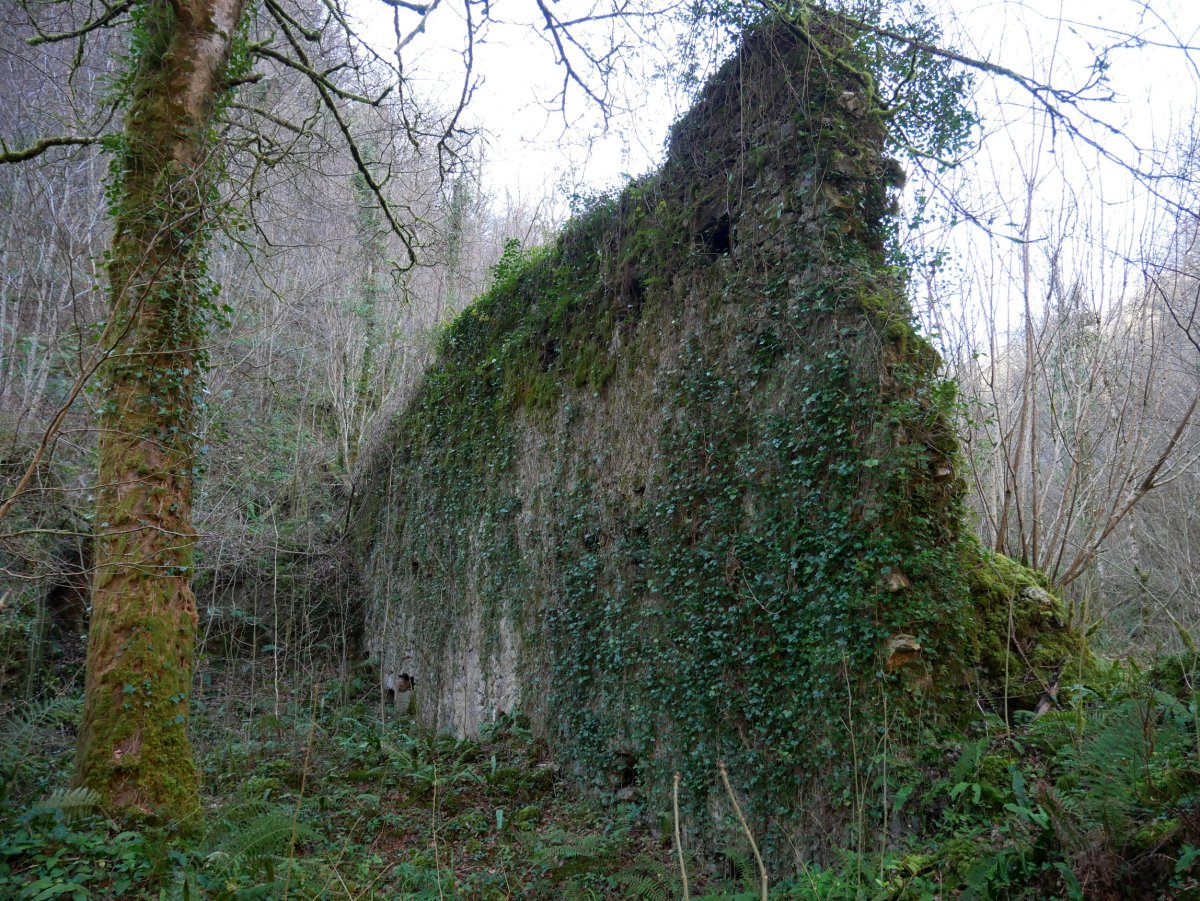 Olazar, Larraul