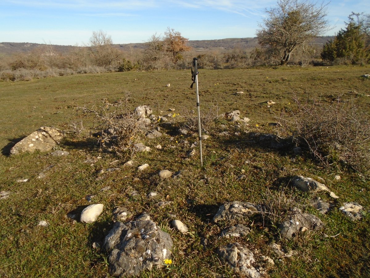 Raso de Esate 