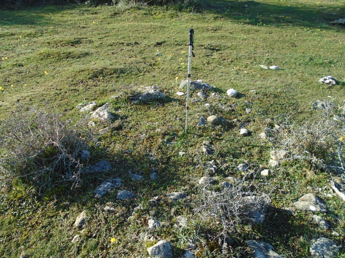 Raso de Esate 