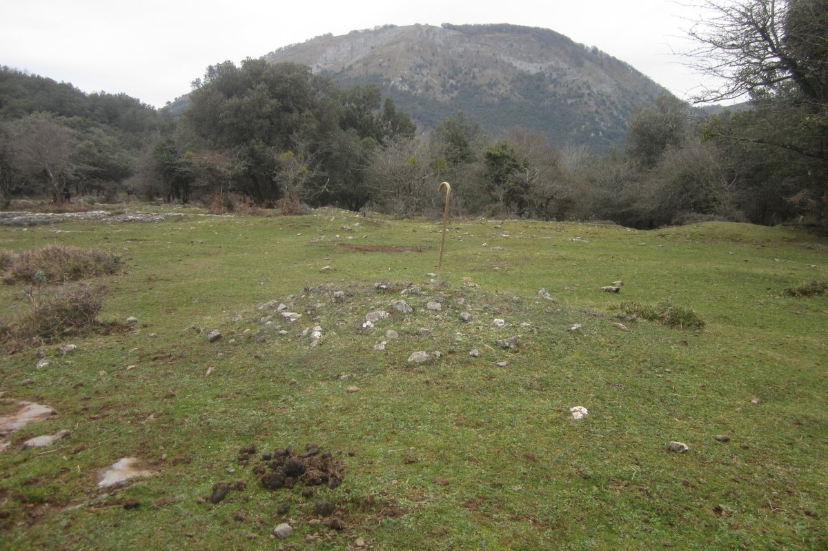 Campo Tumular Irulegi,Túmulo nº 9  (Enero 2020)