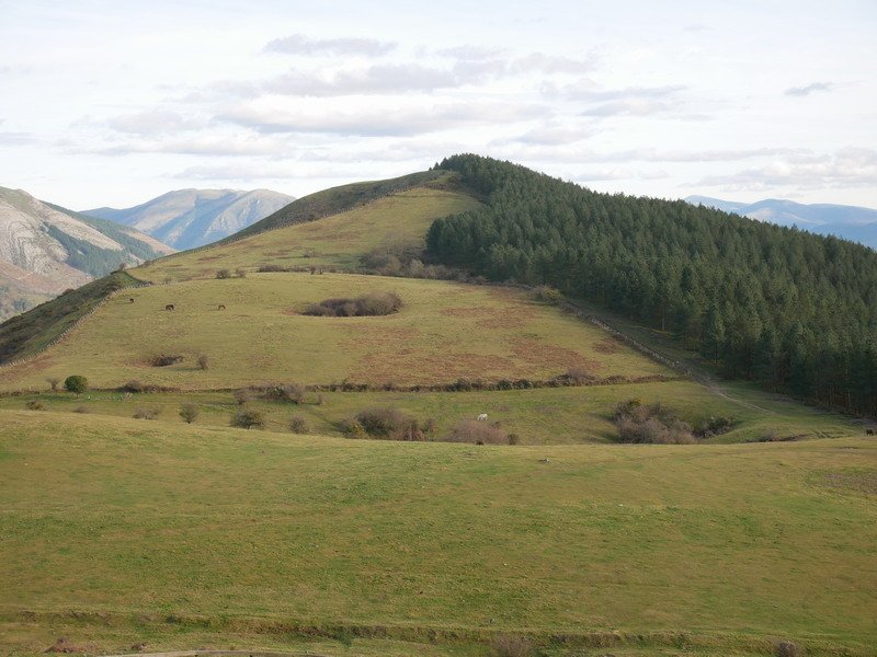 Ziparretik ikusita
