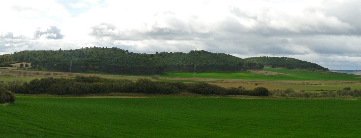 Valmediano