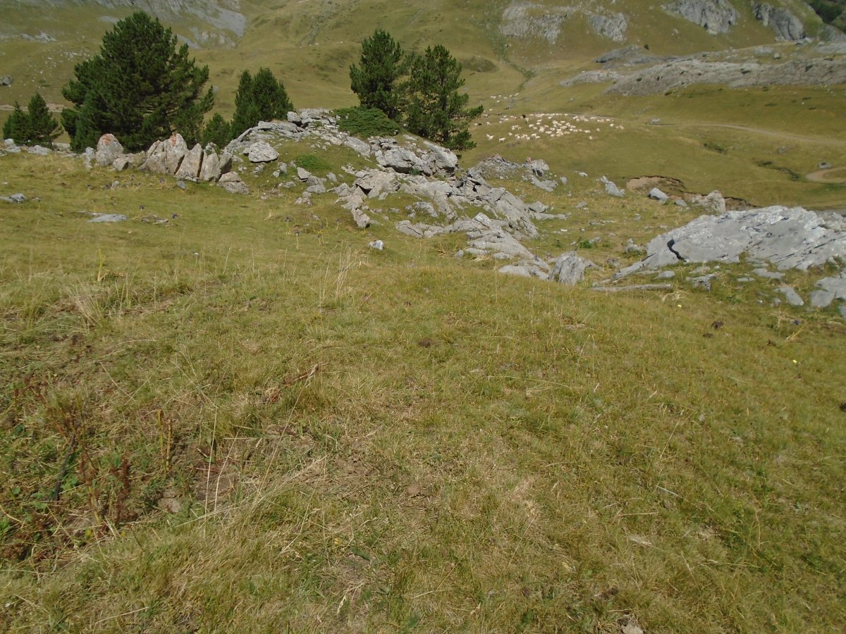 CABANE CAP DE POUNT SUR
