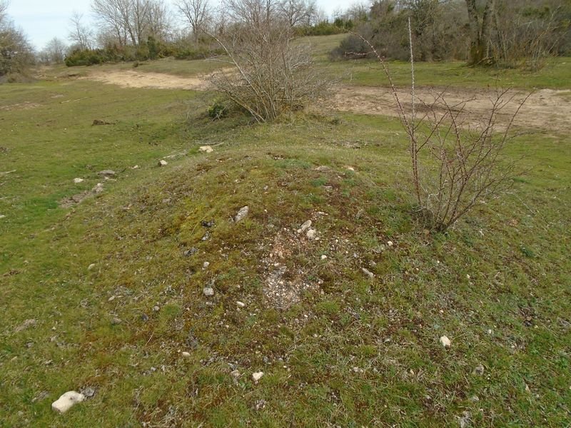 raso de esate- 1