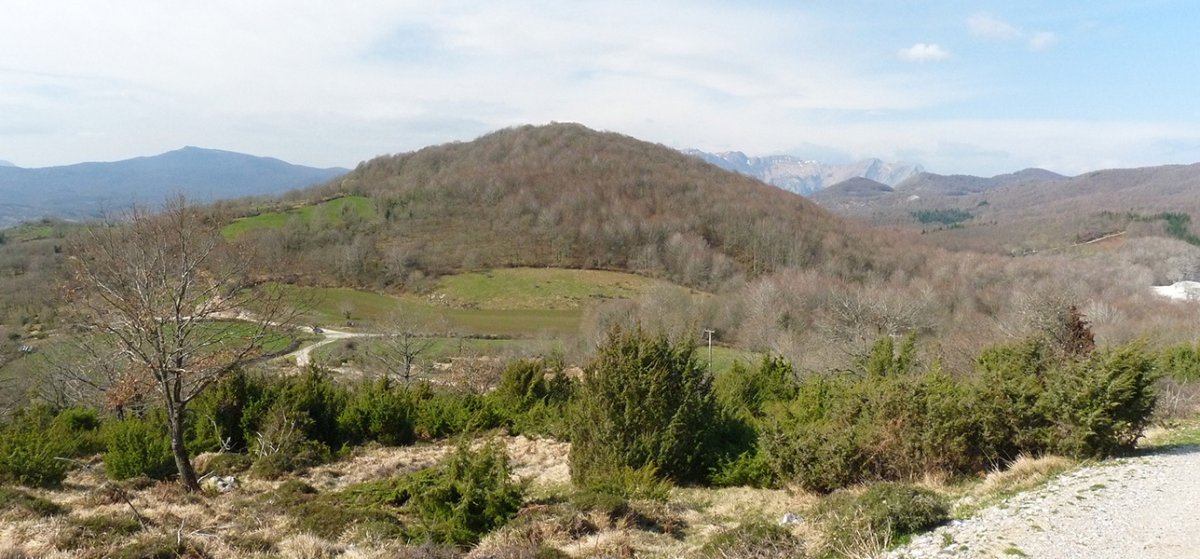 Arrizuri