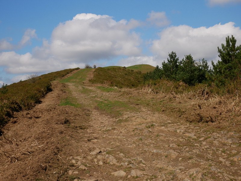 Kukutzara iristen