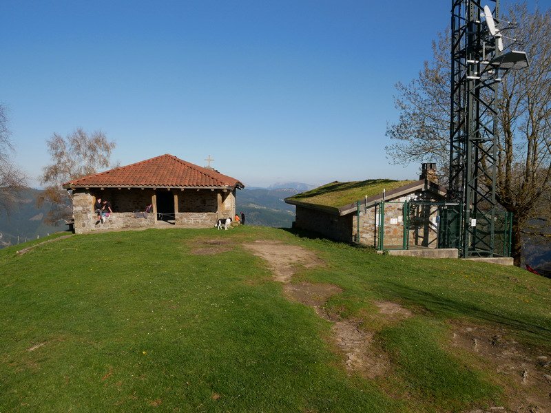 Arrolako tontorra
