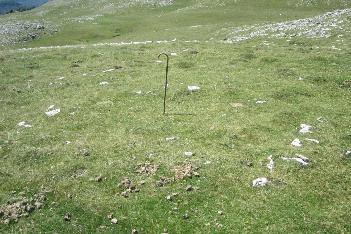 Círculo Anular Arraska 9  (Agosto 2017)