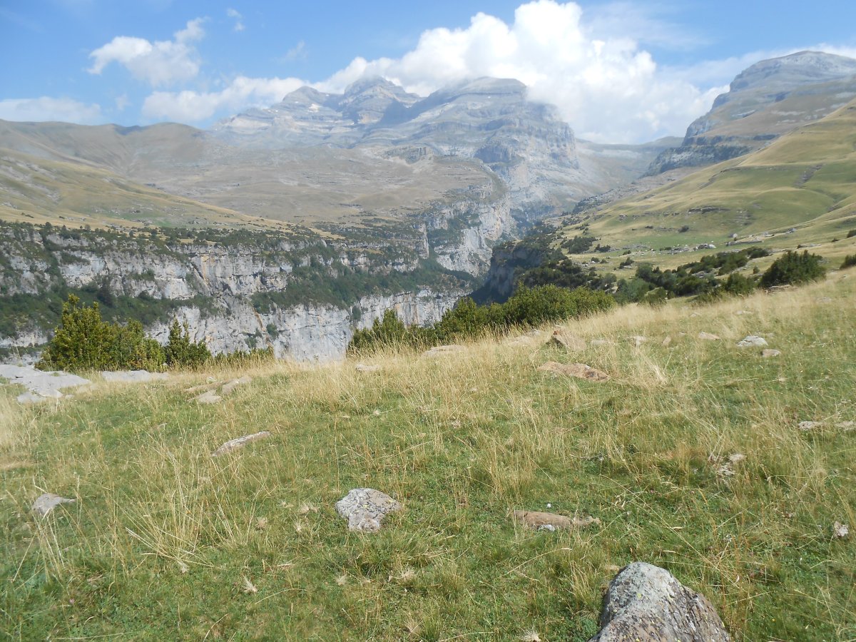 san vicenda 10