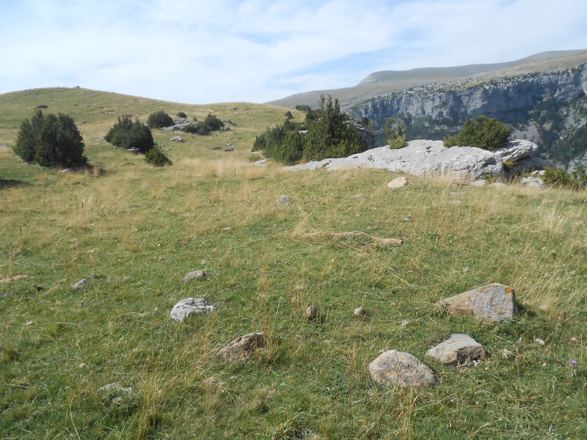 san vicenda 10