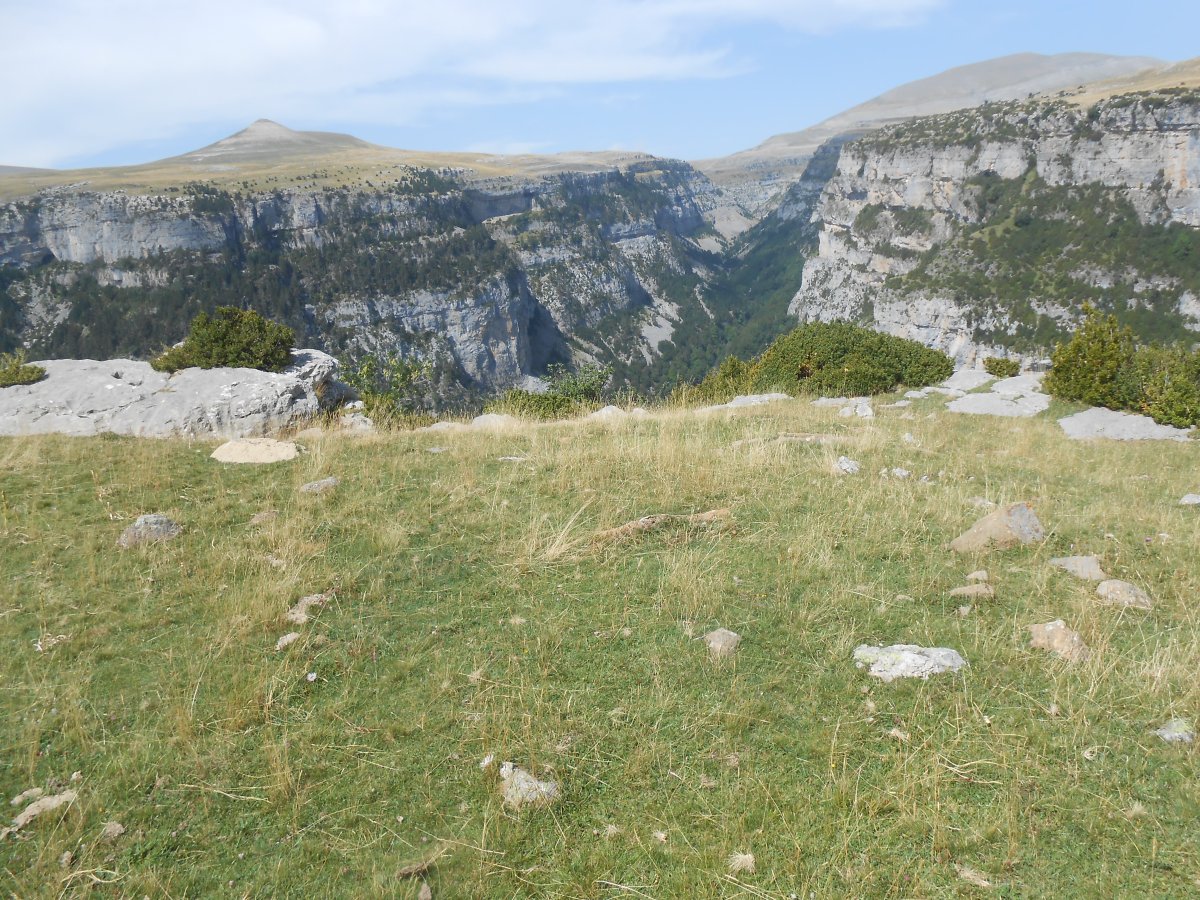 san vicenda 10