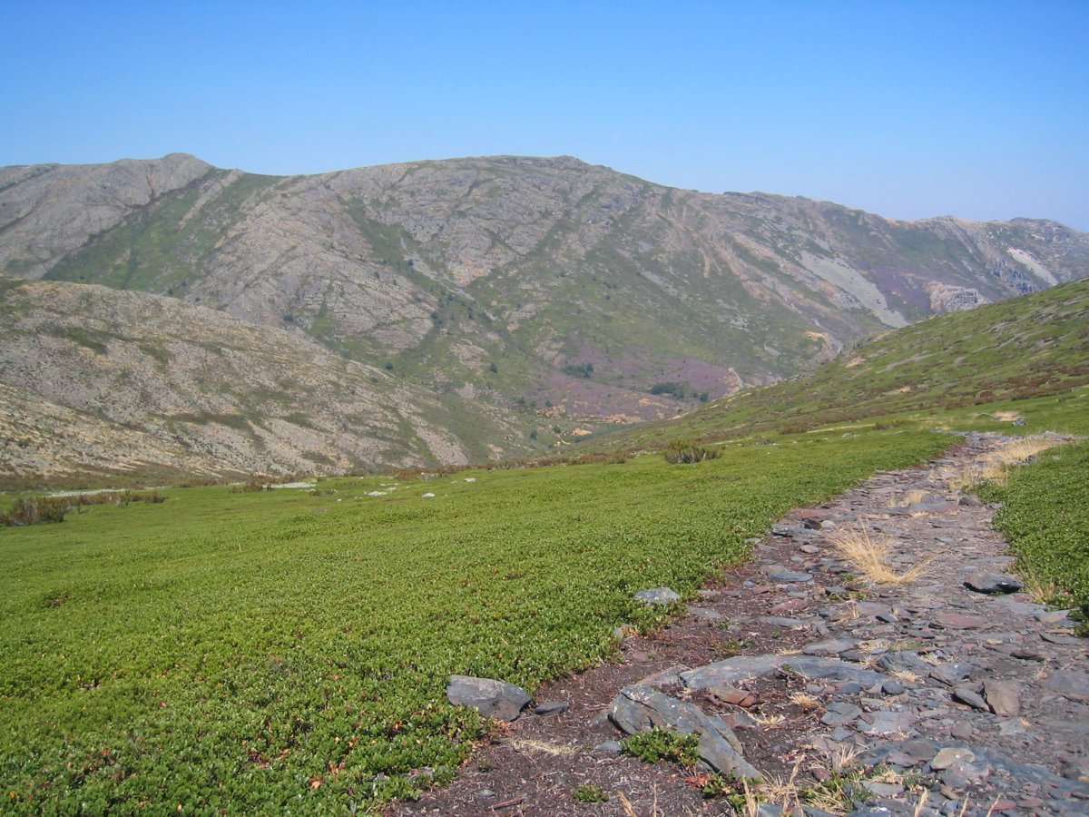 Ocejón bidean