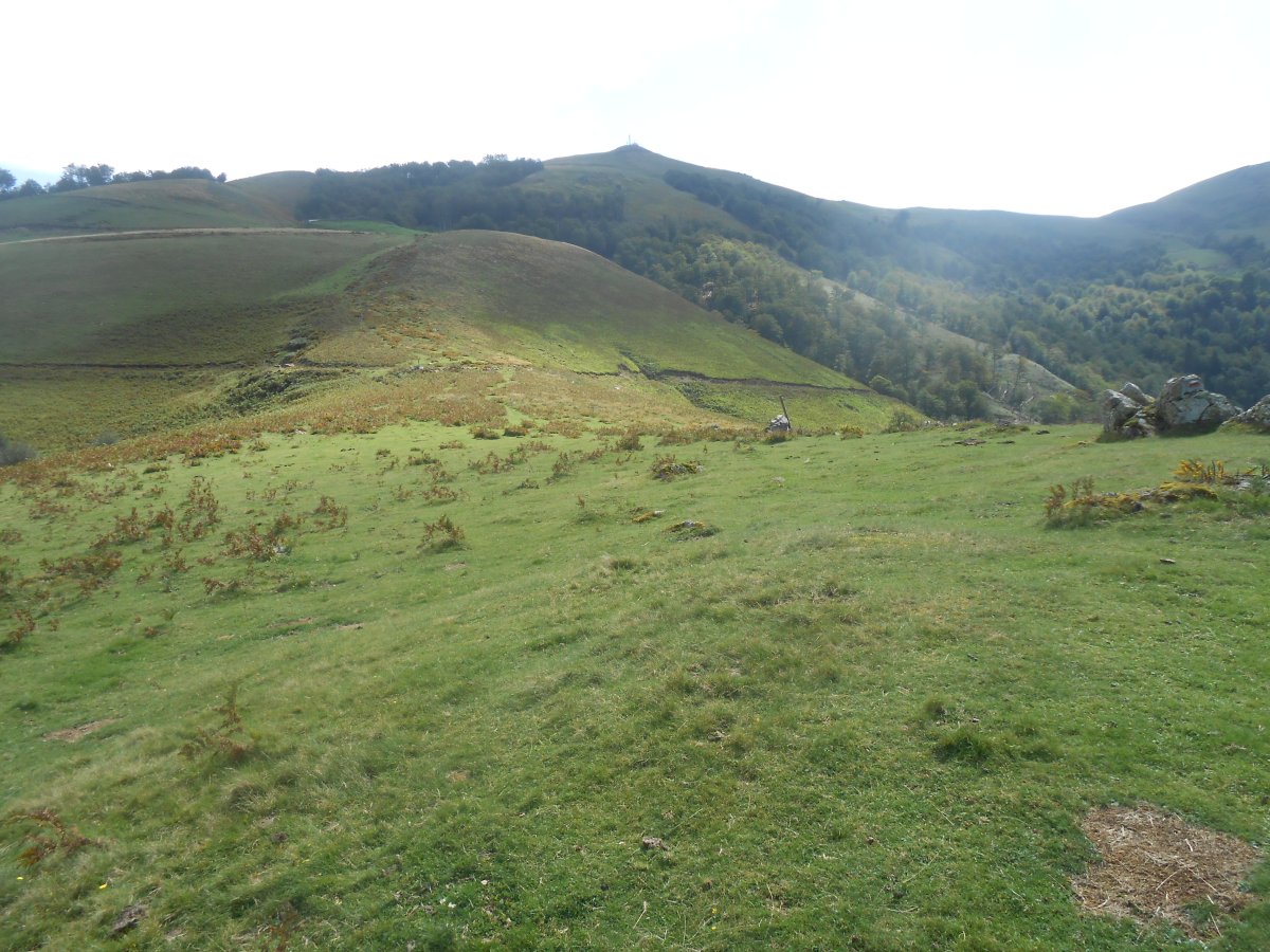 ardakotchia este