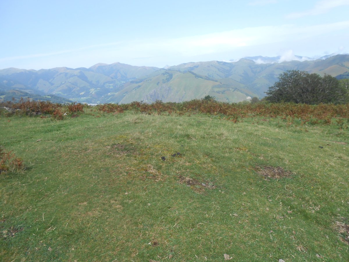 ardakotchia este