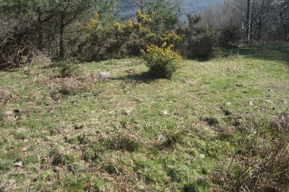 Túmulo Zurbitz  (Marzo 2019)
