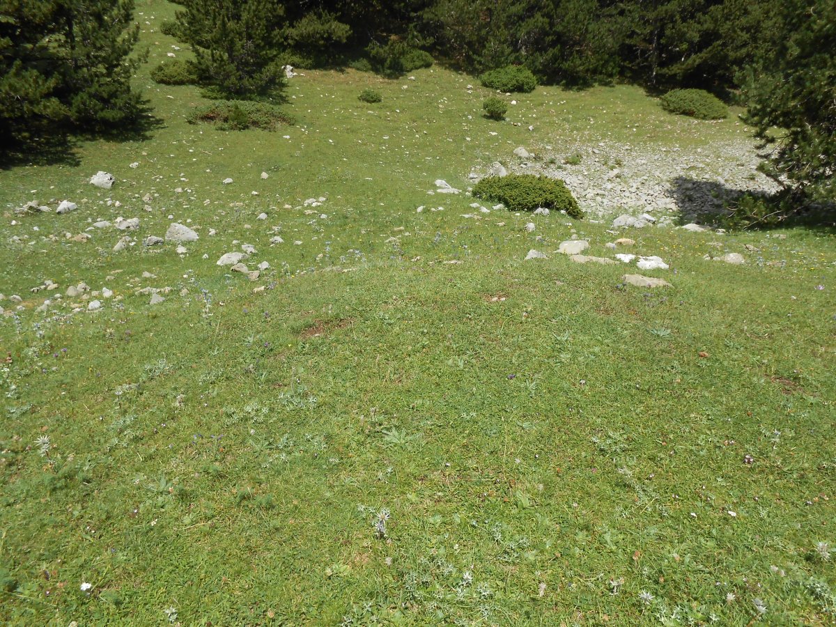 collata labasar sur