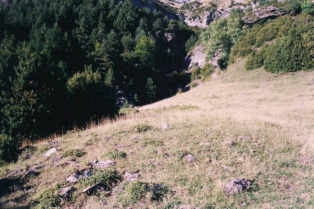 eskaneatuta