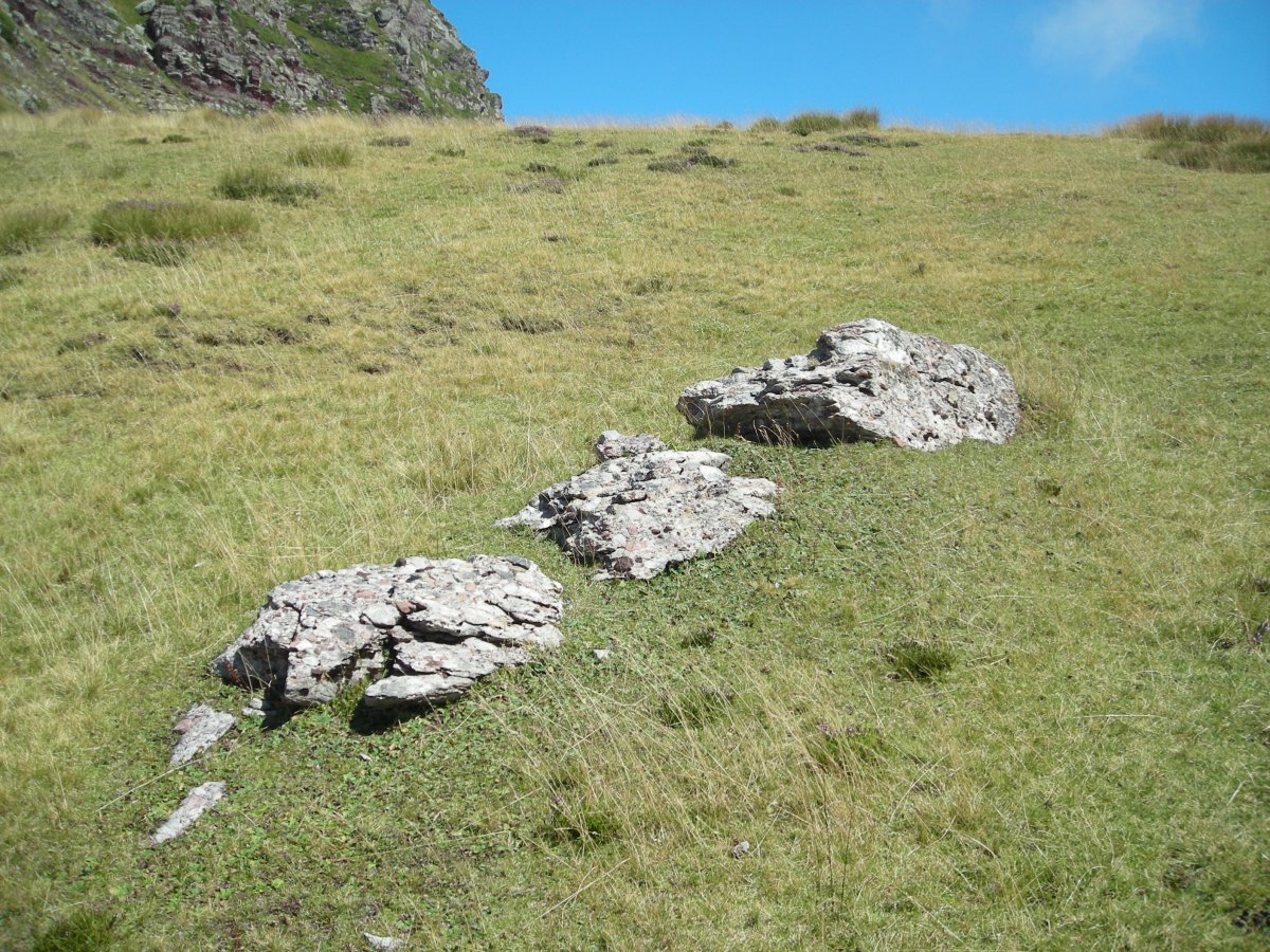 collado acué