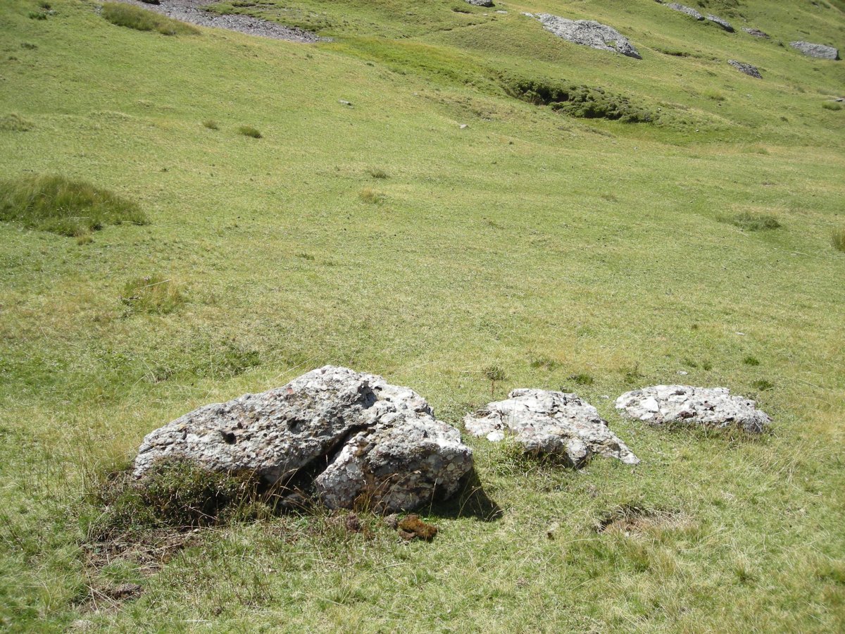 collado acué