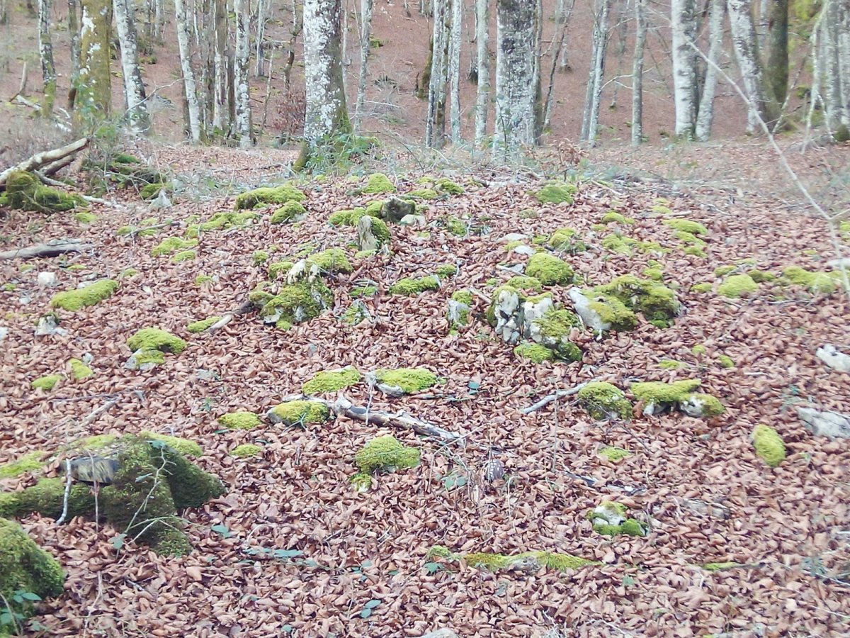 erreketa