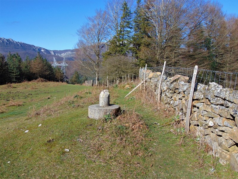 Tontorra