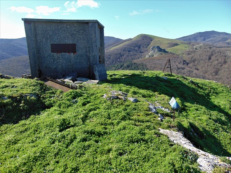 Tontorra