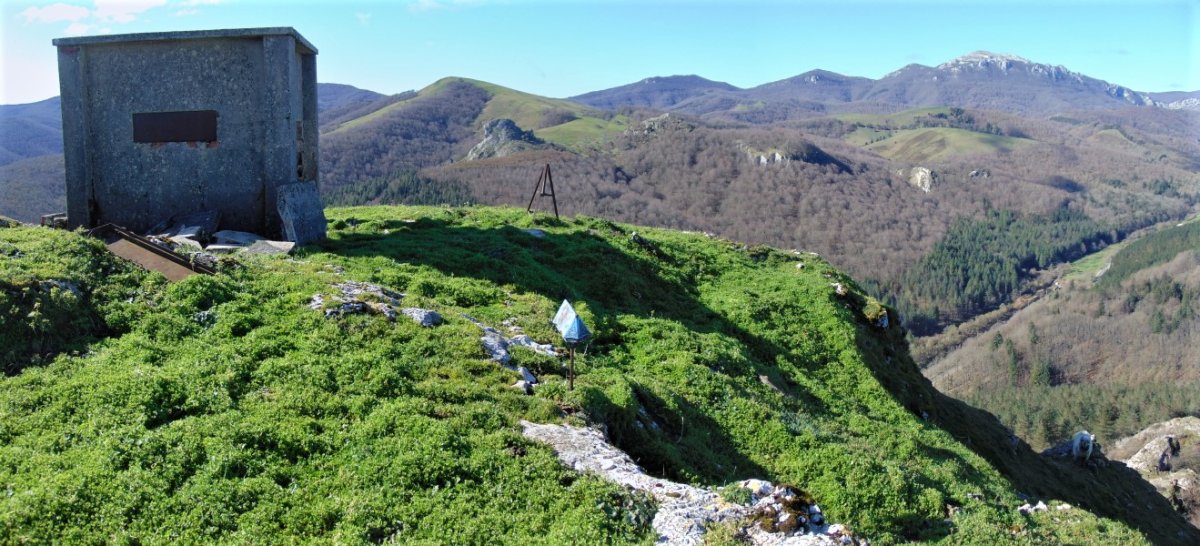 Tontorra