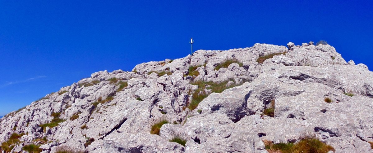 Tontorra