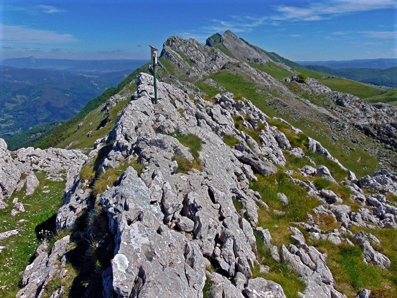 Tontorra