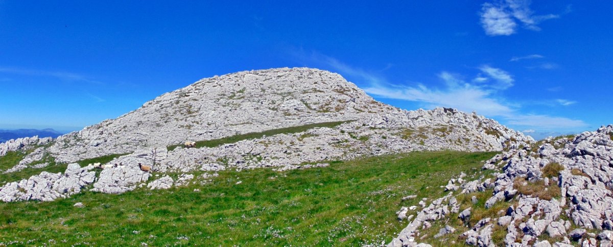 Aizkolaundi