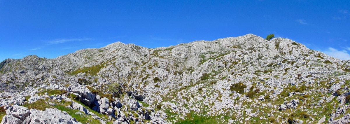 Aizkolaundi